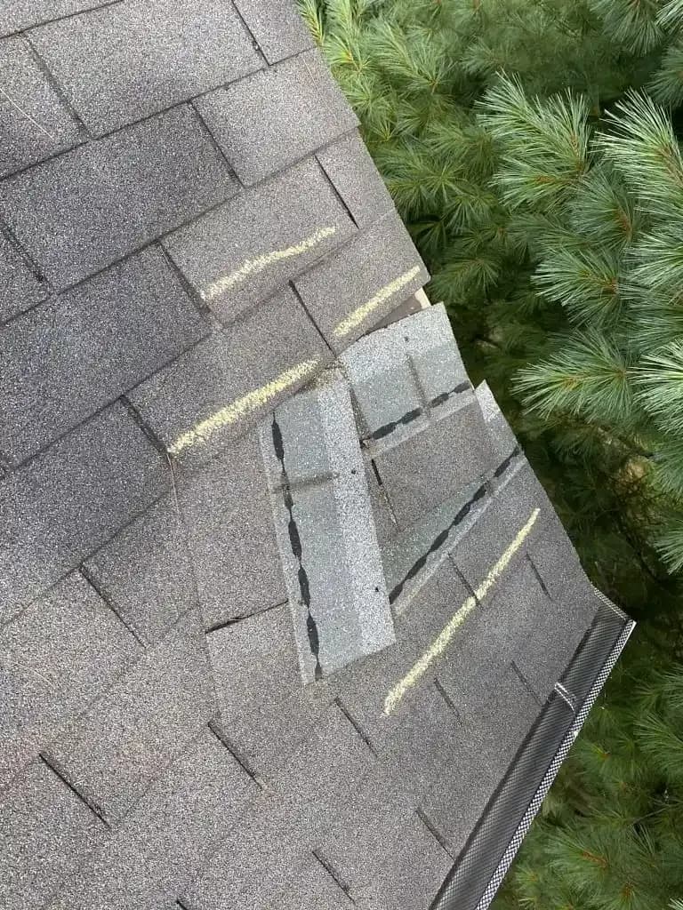 damaged_roof_shingles.jpg