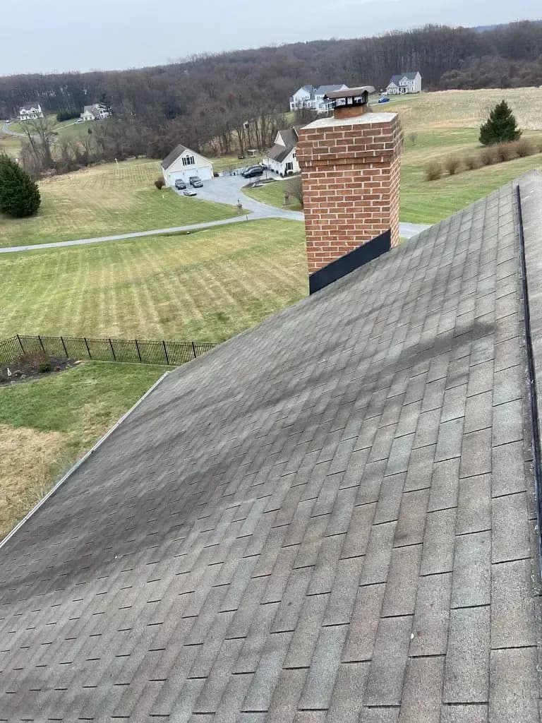 dark_streaks_on_roof (1).webp
